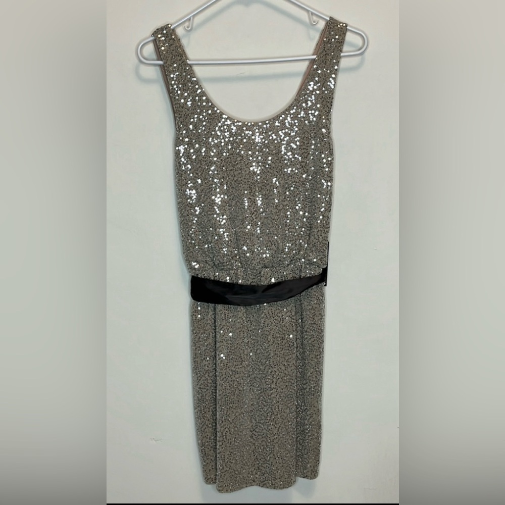 Express sleeveless silver sequin dress